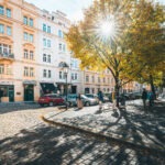 Autumn sunlight through a tree on a cobbled square near Hotel Haštal in Prague